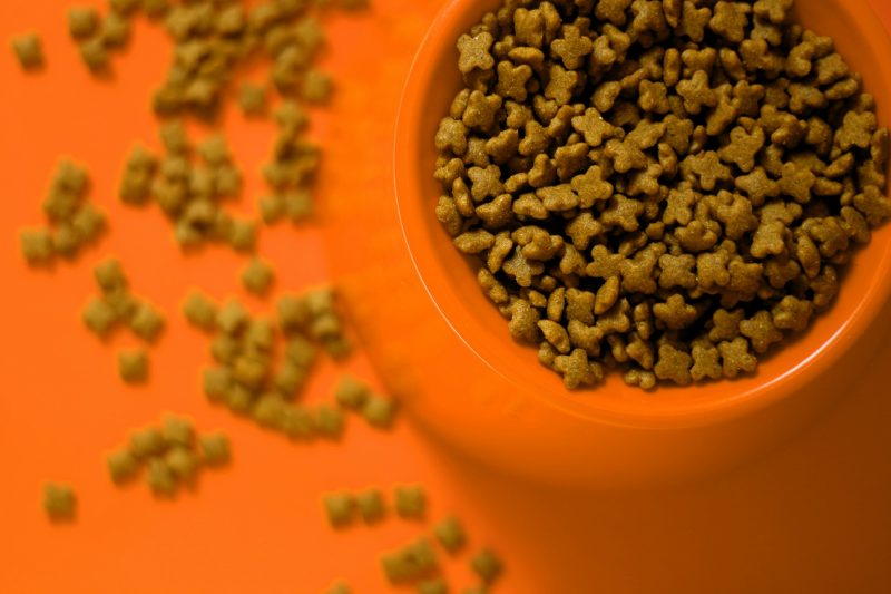 Factors to Consider When Selecting Cat Food